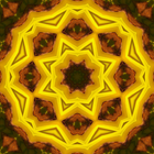 Generate mandalas