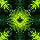 Create tileable patterns
